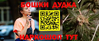 дживик Славгород