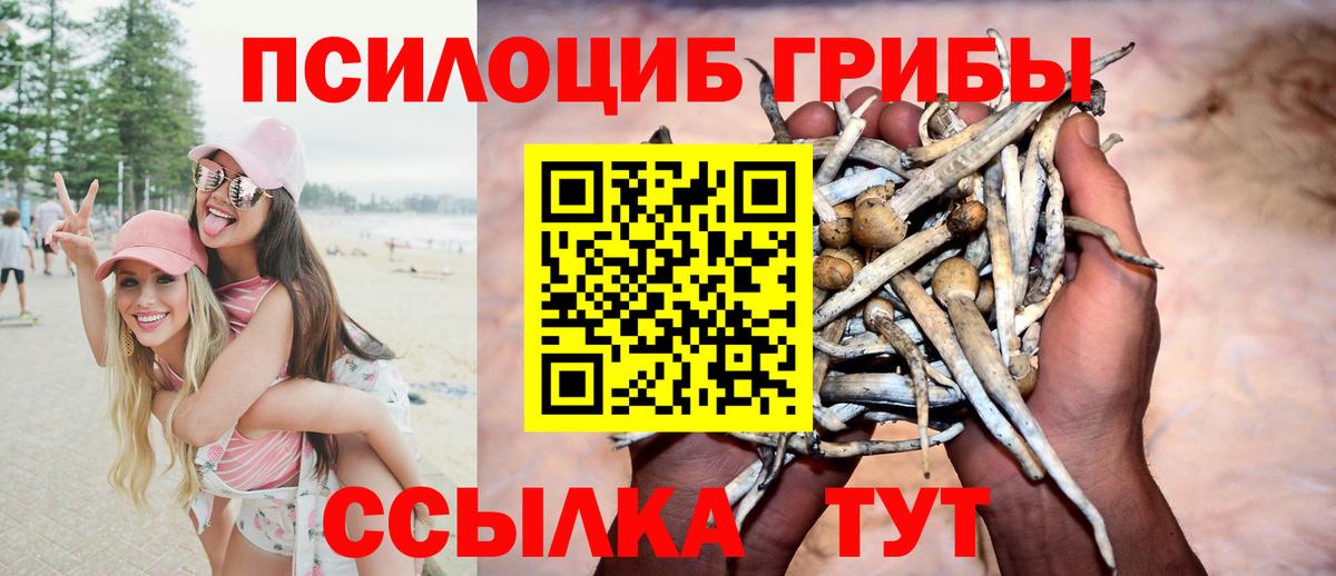 Псилоцибиновые грибы Psilocybine cubensis  Вход с VPN  Белая Калитва  Псилоцибиновые грибы мухоморы 